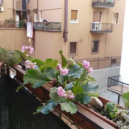 Locazione Turistica Sole 3*